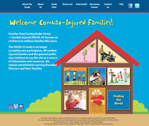 <p>Combat-Injured Families website.</p>